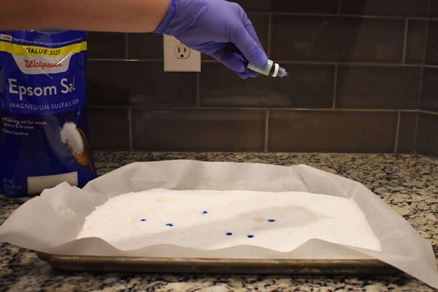 Purple-gloved hand dropping blue colorant onto Epsom salt on a parchment-lined baking sheet
