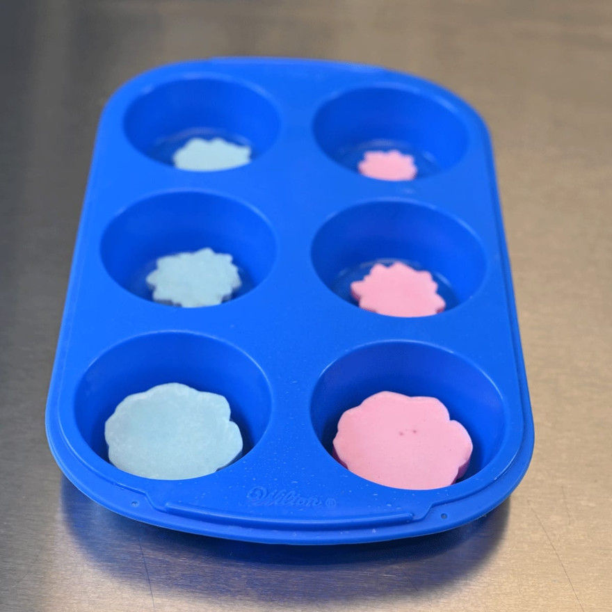 Succulent embeds placed into a few cavities of the muffin mold over a clear bottom layer