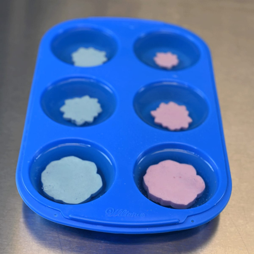 All six muffin cavities holding pink and teal succulent embeds on the clear base